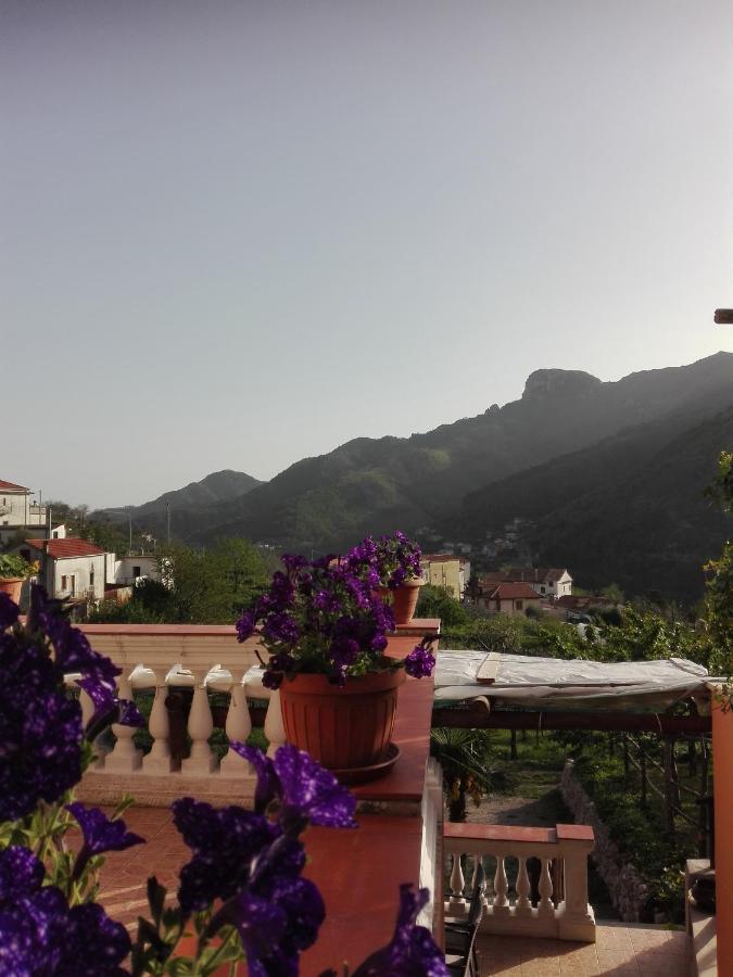 Antica Casa Cavaliere Villa Tramonti Kültér fotó